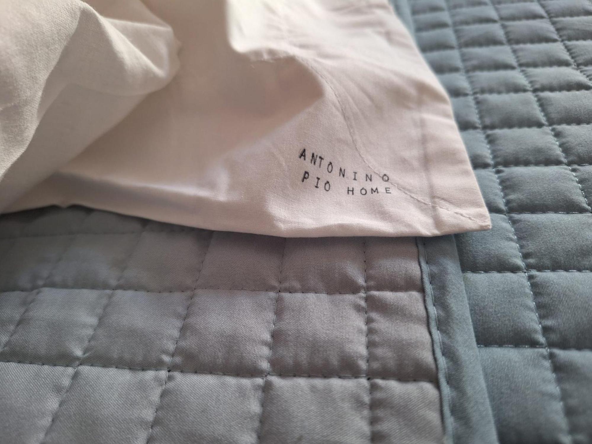 Antonino Pio Home 2 ローマ エクステリア 写真